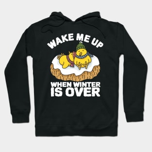 Wake Me Up When Winter Is Over Hoodie